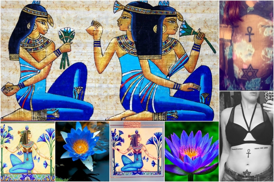 Egyptian Flower