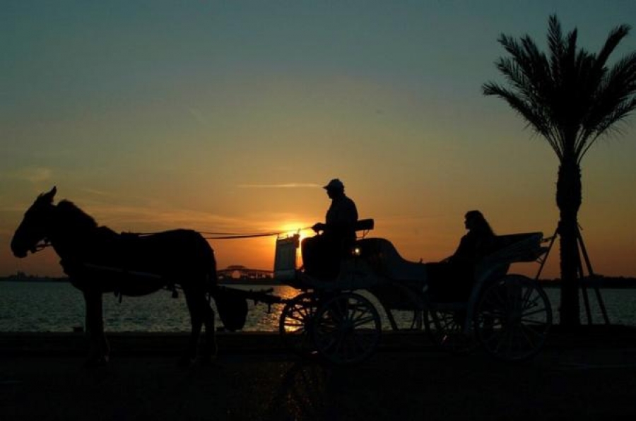 City tour and souq (Market) for shopping with horse carriage